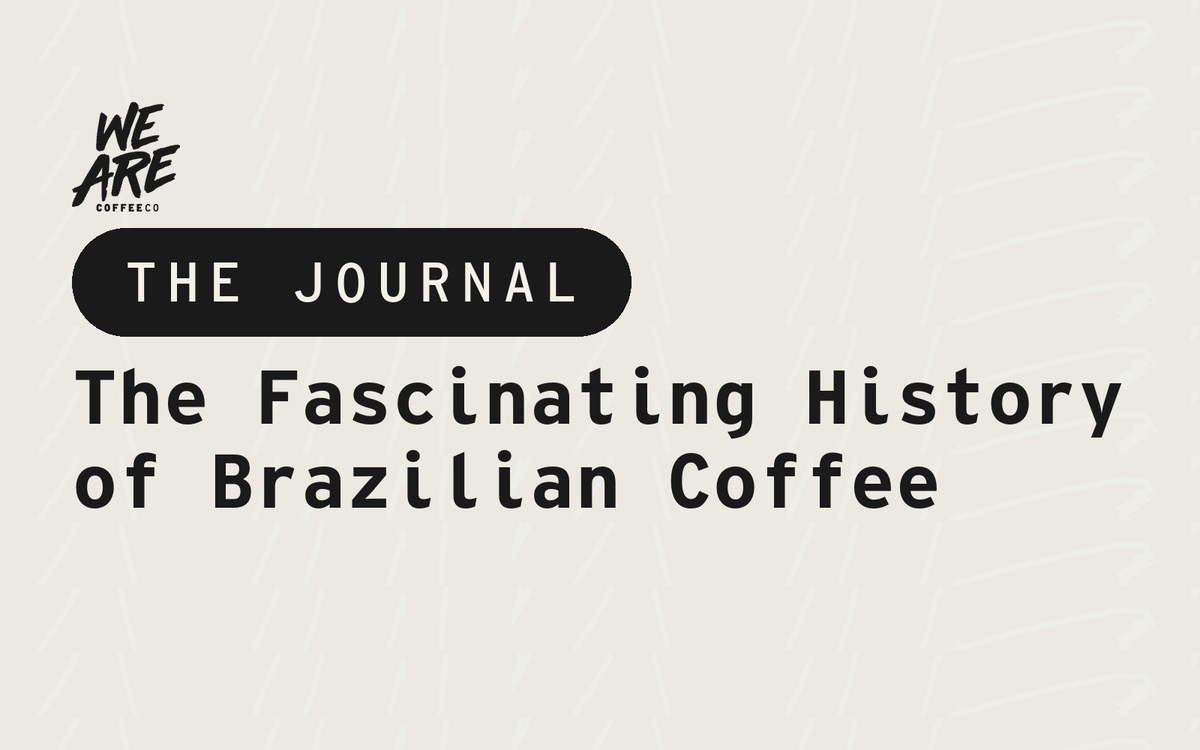 The Fascinating History of Brazilian Coffee