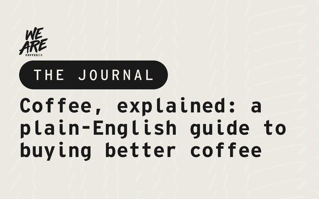 Coffee, explained: a plain-English guide to buying better coffee