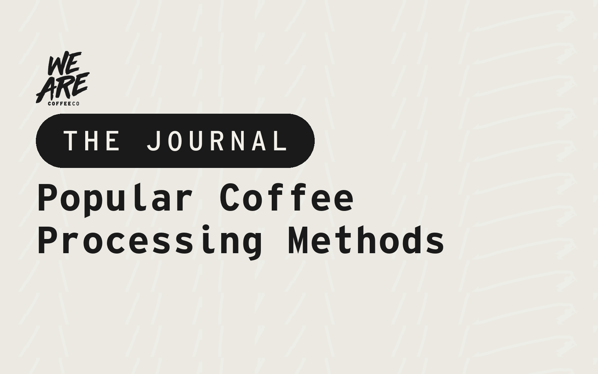 Popular Coffee Processing Methods