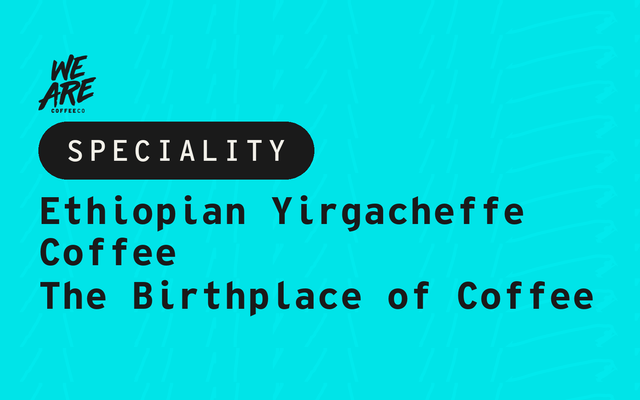 Ethiopian Yirgacheffe Coffee: The Birthplace of Coffee