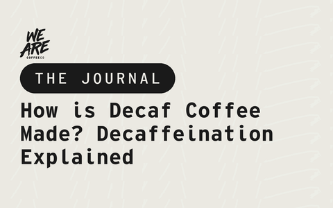How is Decaf Coffee Made? Decaffeination Explained